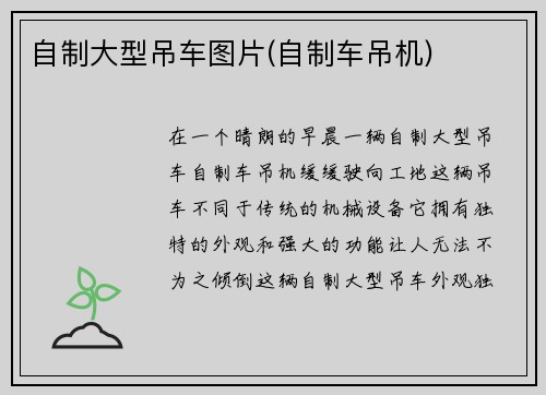 自制大型吊车图片(自制车吊机)